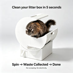 Best-Selling and Top-Rated Cat Litter Boxes for 2026