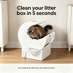 Best-Selling and Top-Rated Cat Litter Boxes for 2026