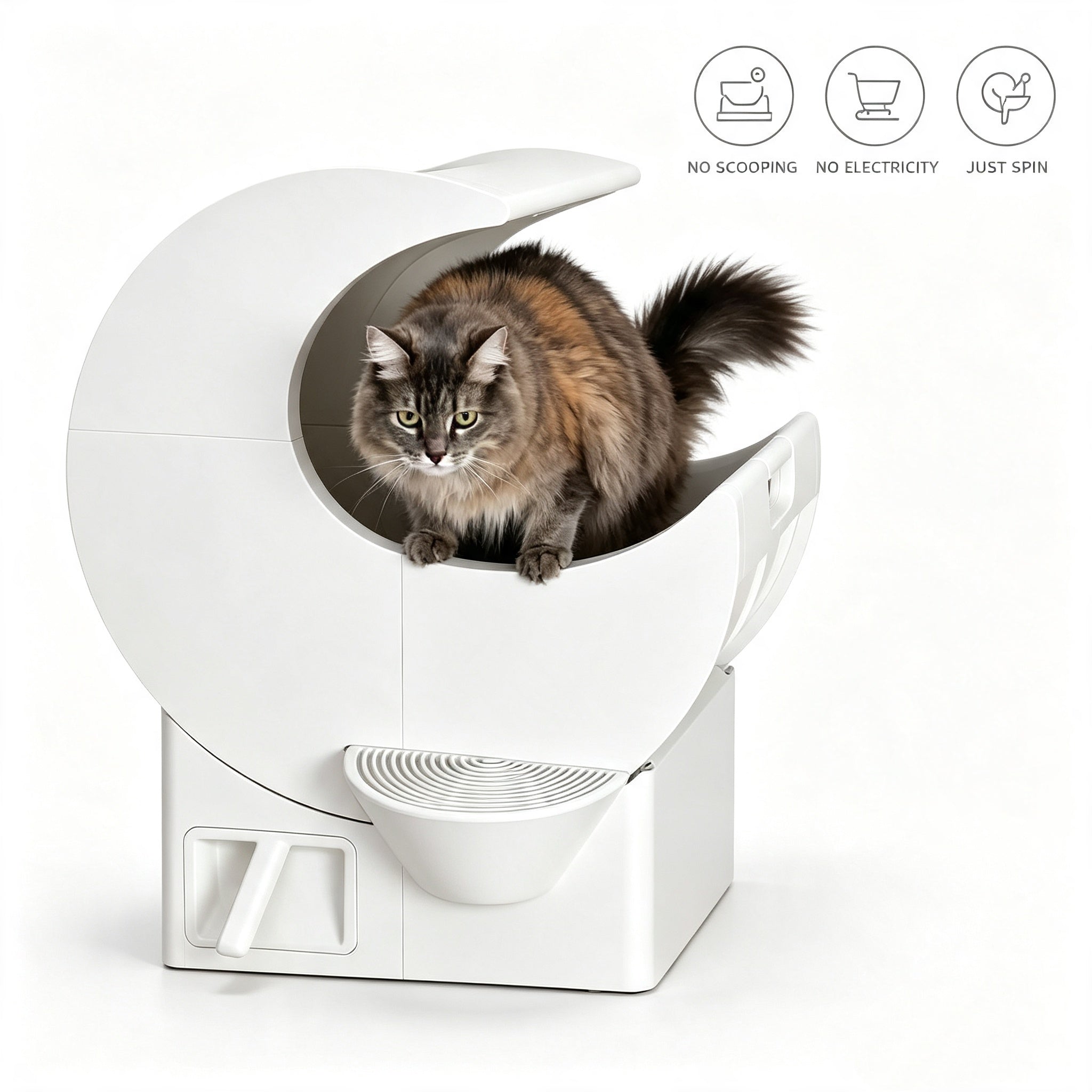 Best-Selling and Top-Rated Cat Litter Boxes for 2026
