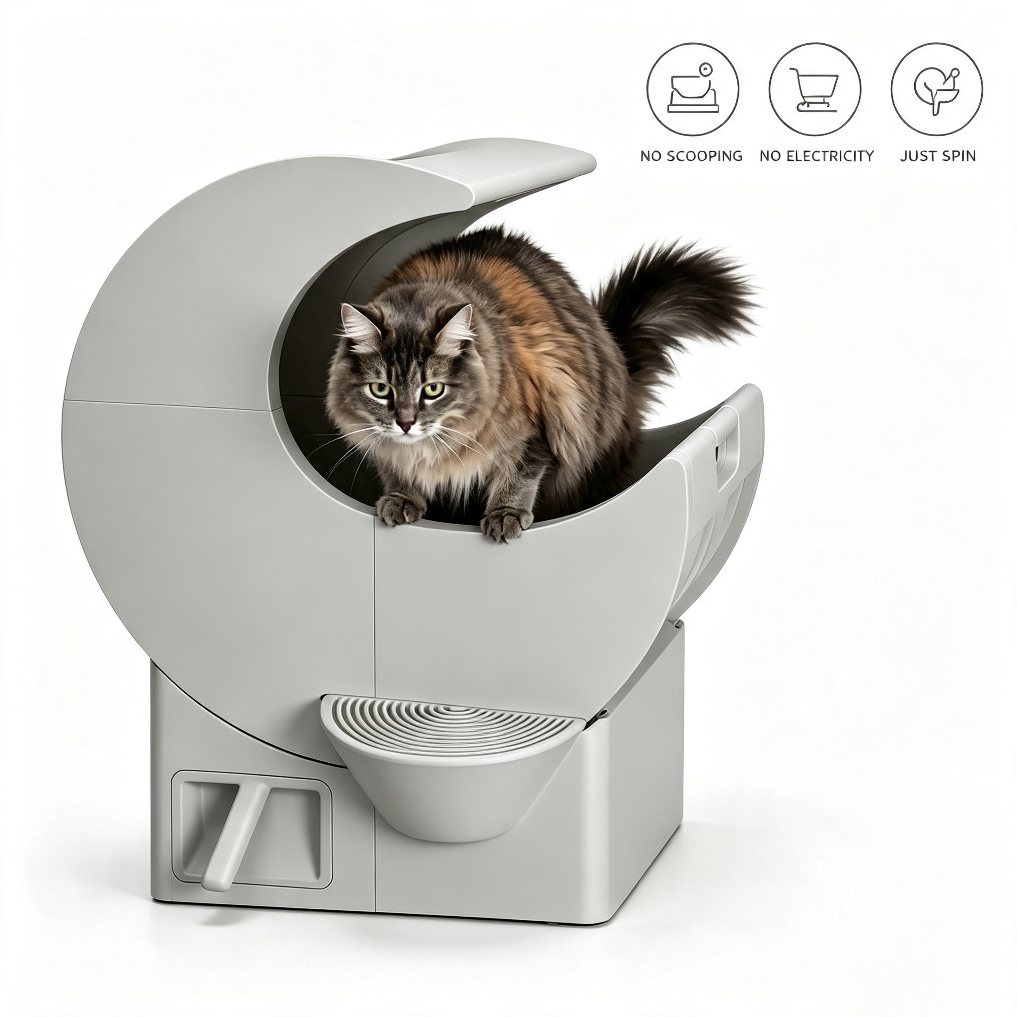 Best-Selling and Top-Rated Cat Litter Boxes for 2026