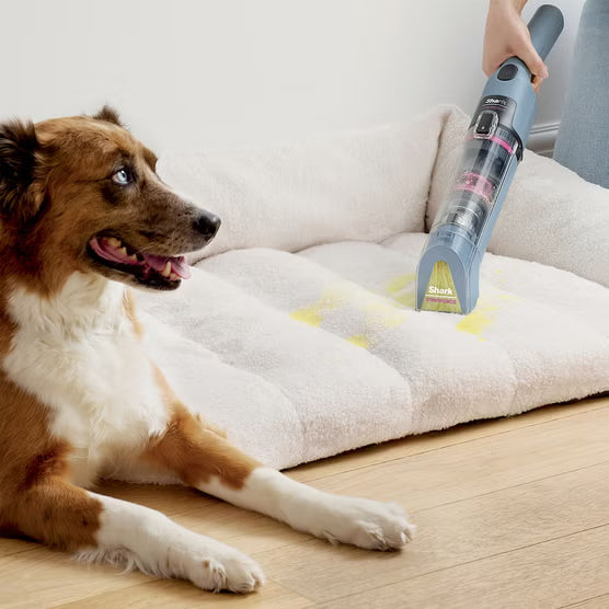 Cordless Handheld Stain Shampooer | Self-Cleaning | Pet & Family Home Essential
